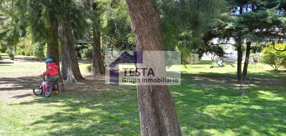UN HOGAR IDEAL. AMPLIO. MUY LUMINOSO. COCINA COMEDOR CON LAVADERO. BALCON. BAULERA. PARQUE. SEGURIDAD. HERMOSO ENTORNO DE TRANQUILIDAD Y CONTACTO CON LA NATURALEZA. (Se percibe la calidez de Hogar)